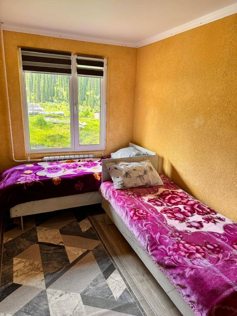 Ala-Kul Guesthouse In Altyn-Arashan Karakol Exterior foto